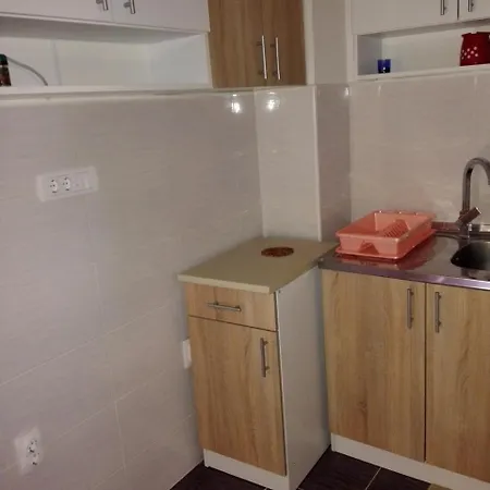 Pesic Apartment